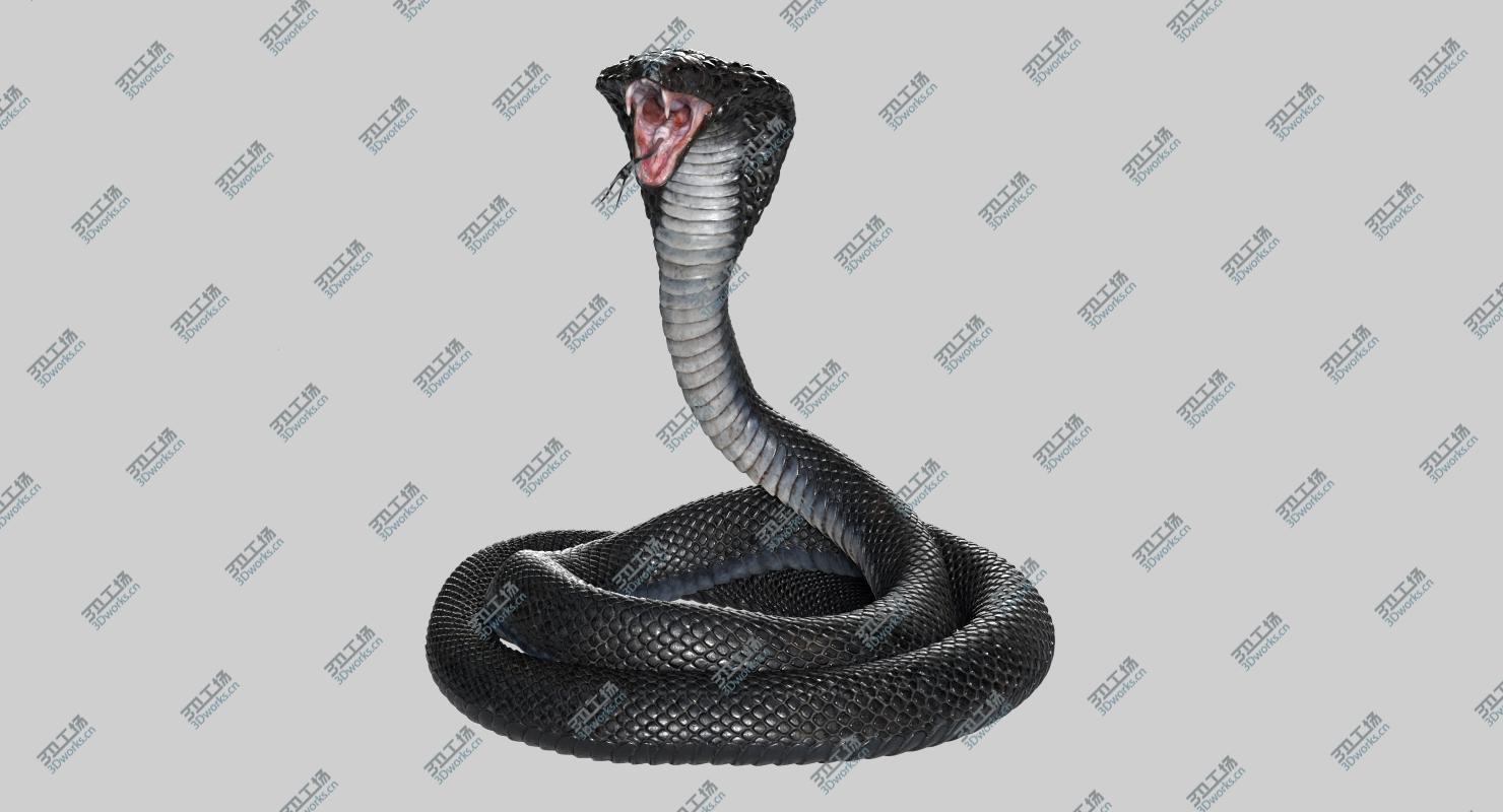images/goods_img/202104022/Cobra Snake Rigged 3D/3.jpg